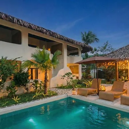 Parrots Boutique Resort-2